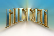 Preview of Hidden slot