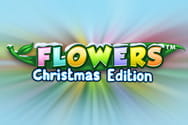 Flowers Christmas Edition